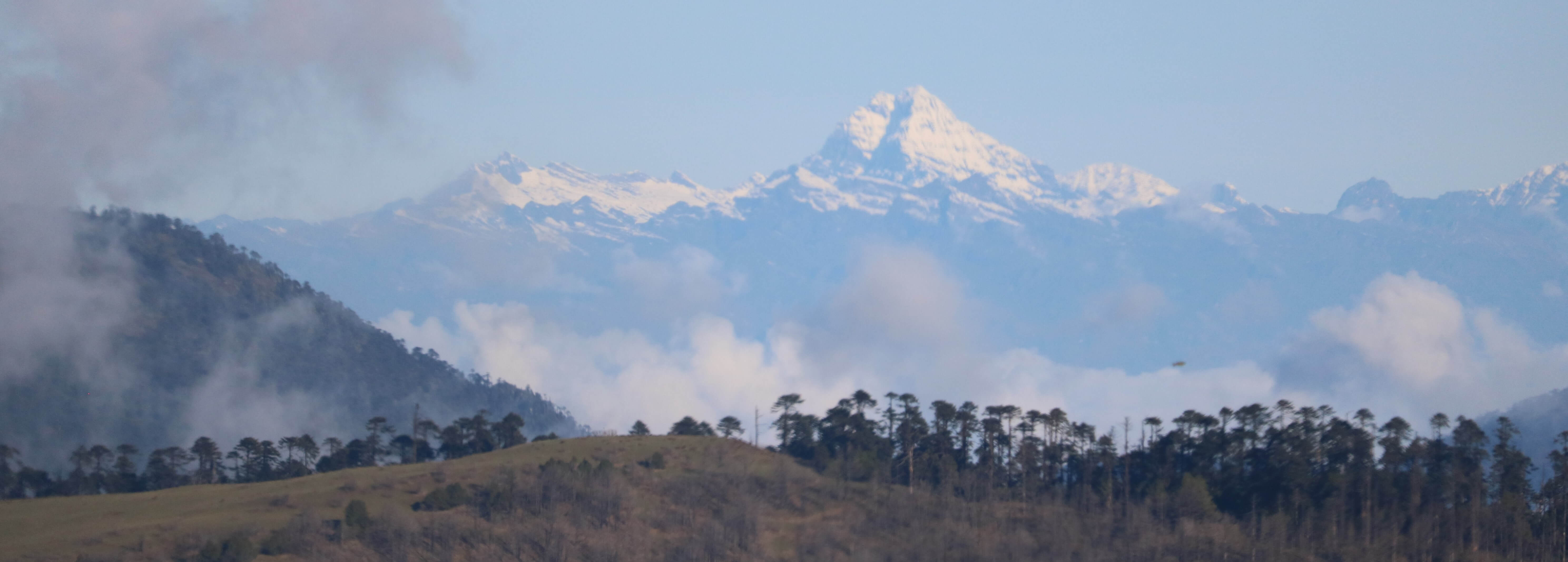 The Palearctic region consisting of conifer forests and alpine meadows.